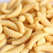 Load image into Gallery viewer, 50pcs artificial soft maggot grub - C.S.D. Fishing Company