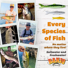 Load image into Gallery viewer, Banjo Minnow 110pc Kit - C.S.D. Fishing Company