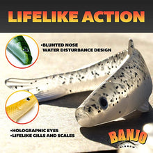 Load image into Gallery viewer, Banjo Minnow 110pc Kit - C.S.D. Fishing Company