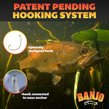 Load image into Gallery viewer, Banjo Minnow 110pc Kit - C.S.D. Fishing Company