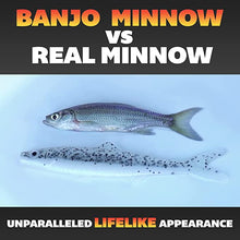 Load image into Gallery viewer, Banjo Minnow 110pc Kit - C.S.D. Fishing Company