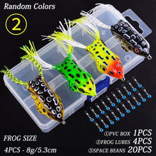 Load image into Gallery viewer, Crazy Frog - C.S.D. Fishing Company