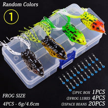 Load image into Gallery viewer, Crazy Frog - C.S.D. Fishing Company