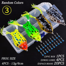 Load image into Gallery viewer, Crazy Frog - C.S.D. Fishing Company