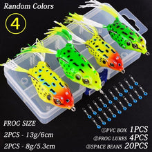 Load image into Gallery viewer, Crazy Frog - C.S.D. Fishing Company