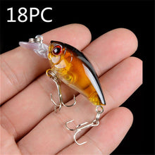 Load image into Gallery viewer, Rock long tongue fat guy - C.S.D. Fishing Company