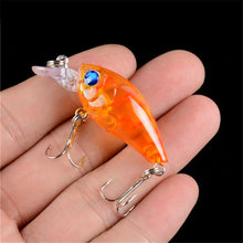 Load image into Gallery viewer, Rock long tongue fat guy - C.S.D. Fishing Company