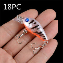 Load image into Gallery viewer, Rock long tongue fat guy - C.S.D. Fishing Company