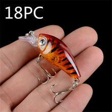 Load image into Gallery viewer, Rock long tongue fat guy - C.S.D. Fishing Company