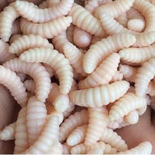 Load image into Gallery viewer, 50pcs artificial soft maggot grub - C.S.D. Fishing Company
